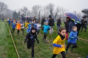 DSC00248 DSC00248
